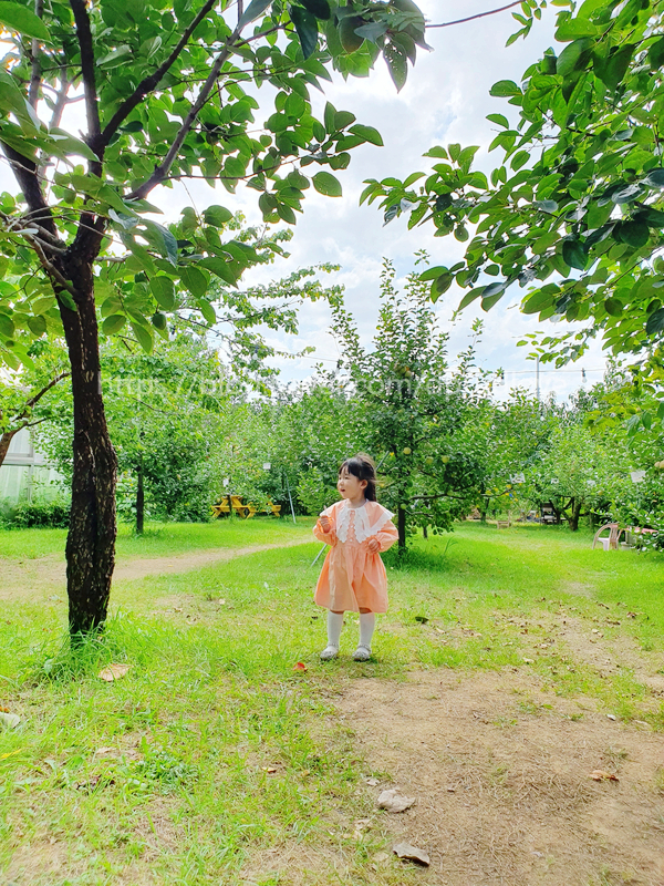  강서 개화산역 근처 아이랑 나들이 추천 야외 카페 플레이스 콤마