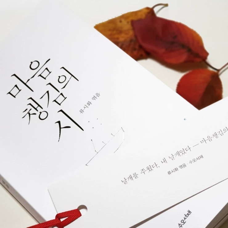 [서평] 마음챙김의 시_류시화시집