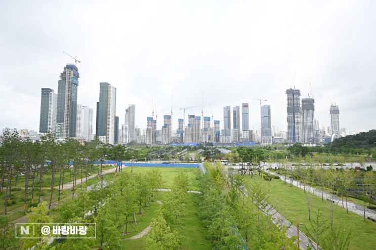  거의 다 만든 세종시 중앙공원 풍경