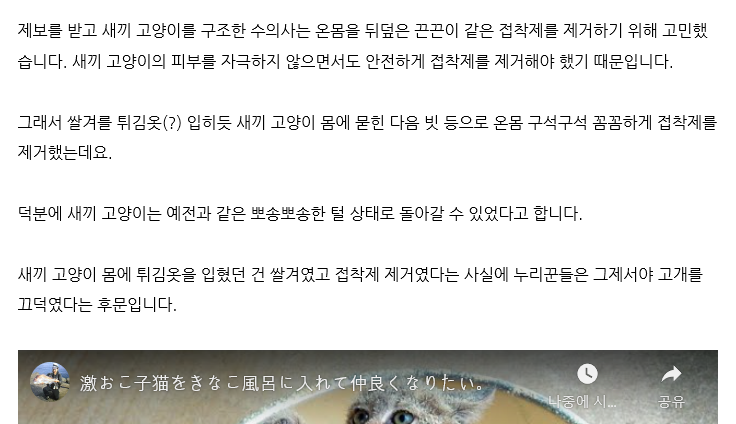  애니멀플래닛의 taipi 유튜버 관련 허위 정보 전달 - 이래도 괜찮은 걸까요?