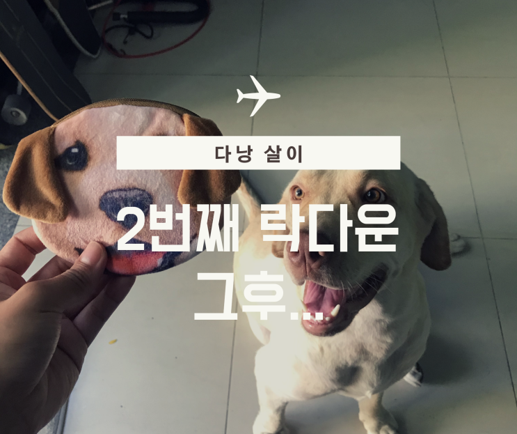  베트남 다낭 2차 락다운 그후.