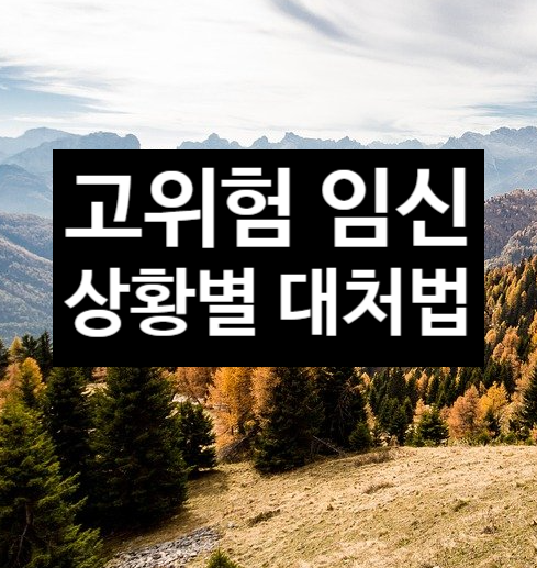  고위험 임신 상황별 대처방법