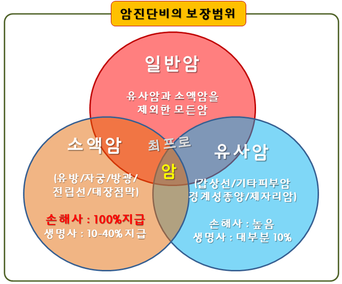 보험에서 말하는 암이란?(feat.고액암,유사암...소액암) 1
