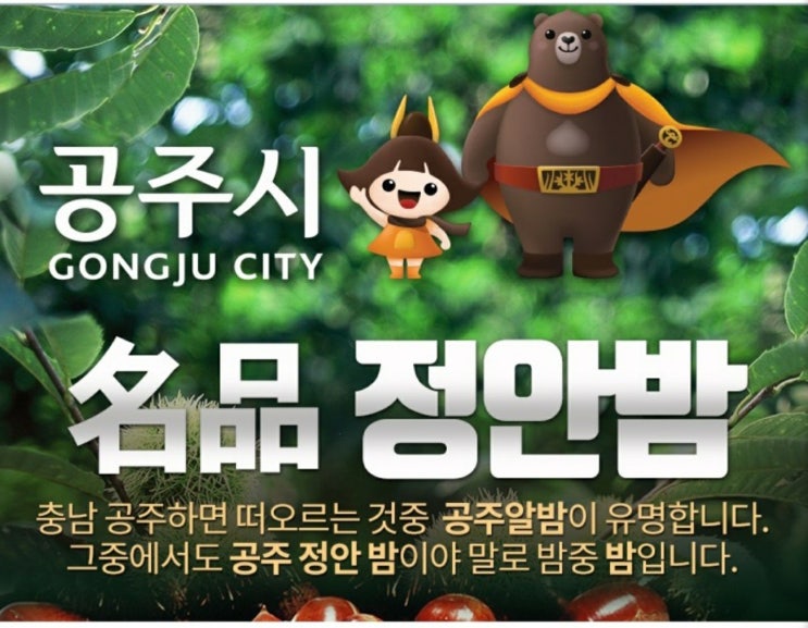 공주 정안밤