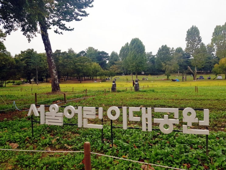  어린이대공원 벚꽃 놀이(feat.cafe sym;심)서울 돗자리 캠핑의자 들고  피크닉 가자 매점 간식