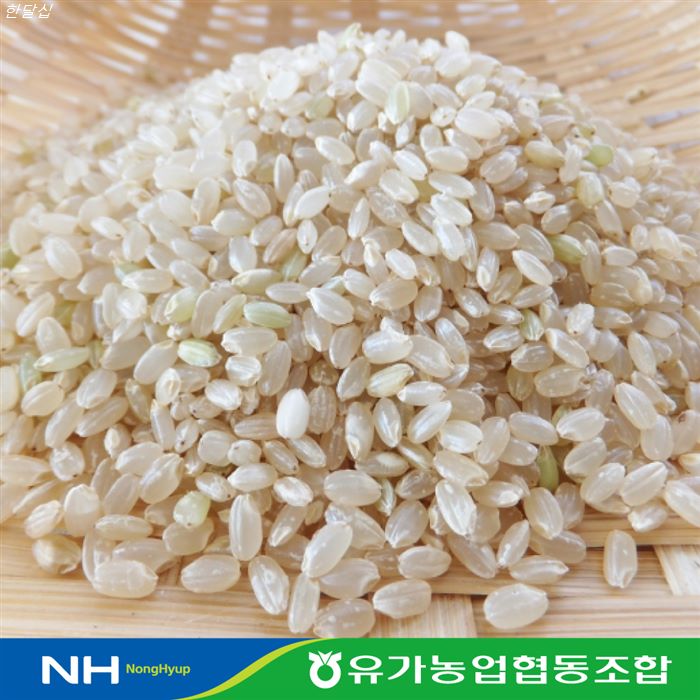  10.08. 디스카운트아이템 유가농협 현미10kg 단일품종 삼광 2019년산 이거에요 여러분
