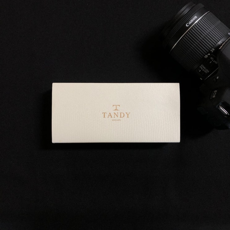  [남자 시계 추천] 추석에 선물 받은 TANDY 시계 리뷰 (feat. 시계줄 줄이는 방법)