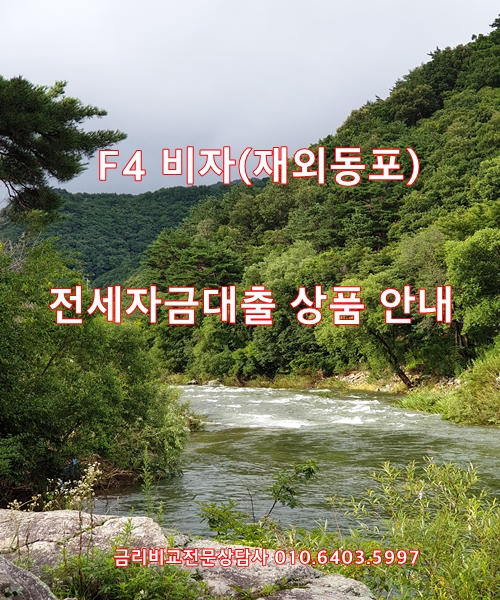 F4비자 전세자금대출 상품 및 진행 안내(금리비교전문상담사)
