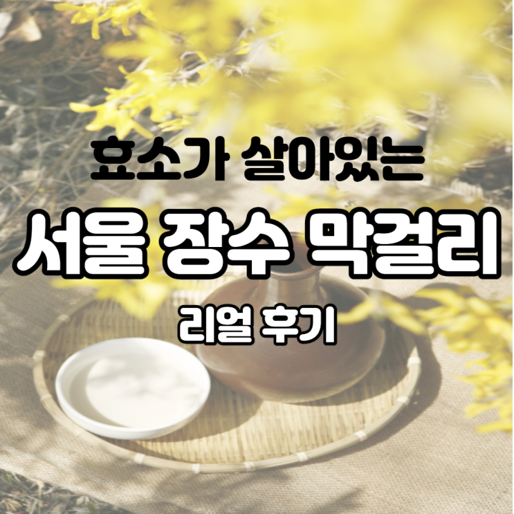  나 홀로 혼술 효모가 살아있는 서울 장수 막걸리 홀릭 리얼 후기