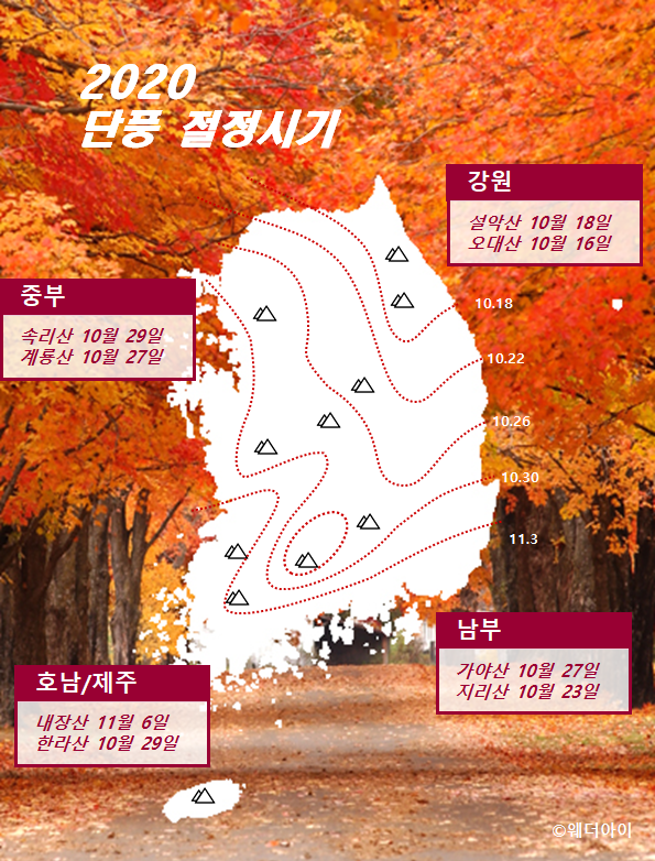  제주도 단풍시기 & 명소 [제주도 한달살기 숙소 씨사이드 이든 추천]