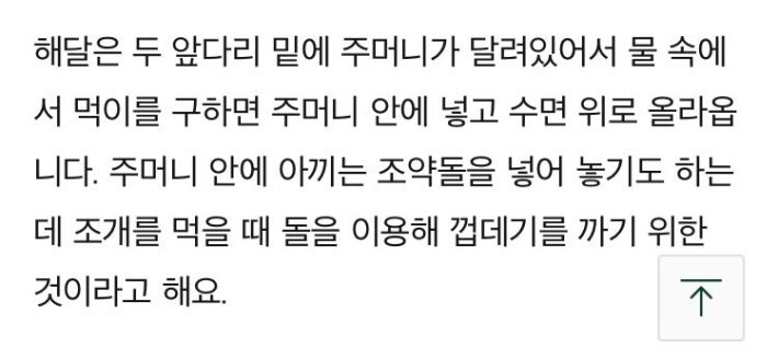  해달의 비밀주머니