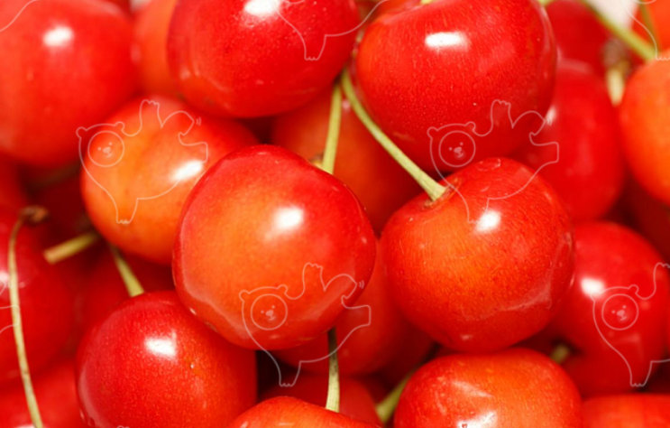  평생 자는 잠 나만 못 자? 타트체리 콜라겐 추천 이유!!!