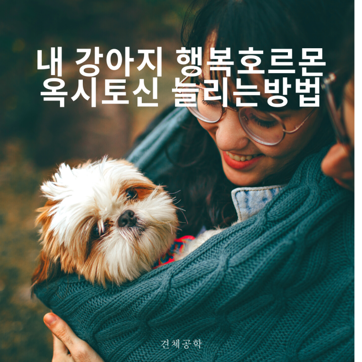  내 강아지 행복호르몬 옥시토신 늘리는 방법