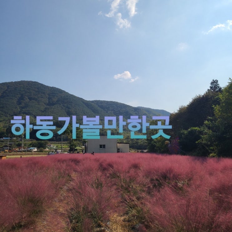  <하동여행> 하동 가볼만한곳 ;  북천 코스모스 핑크뮬리  &이병문문학관
