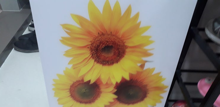  풍수 인테리어 소품 해바라기 그림