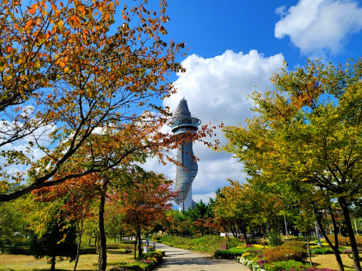 속초 청초호 호수공원 가을 풍경 및 국화전 (2020.10.16.~11.13.) 속초 청초호 호수공원 가을 풍경 및 국화전 (2020.10.16.~11.13.)