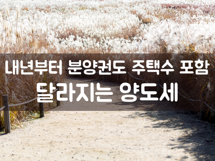  내년부터 분양권도 주택수 포함…달라지는 양도세