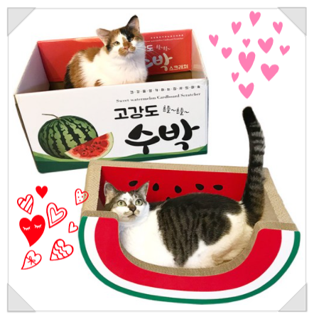  수박 스크래쳐 넘 귀여워요~~