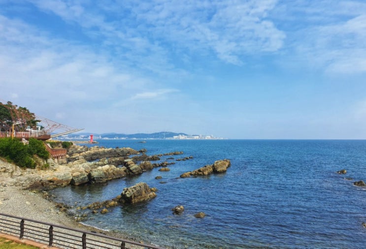  기장 신평소공원 조용한 카페 드메르