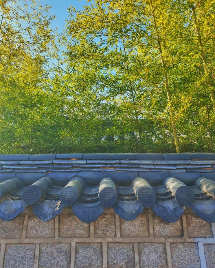  [전주 한옥마을/랜선여행/여행사진] 주말여행에서 만난 풍경들과 전주한옥마을 데이트