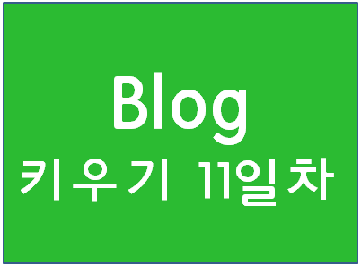  블로그 시작 11일차 통계 분석(완전 초보블로거)