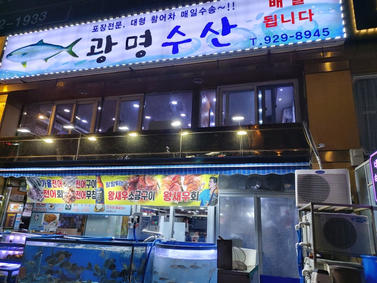  [성신여대 횟집] 광명수산 광어+연어 희돈희산 후기!!