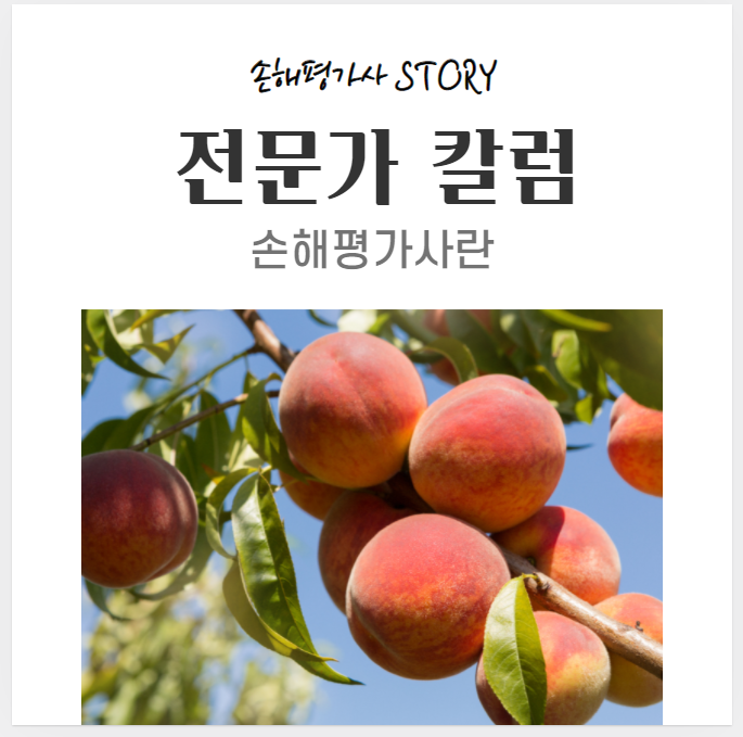  [전문가칼럼]손해평가사란?