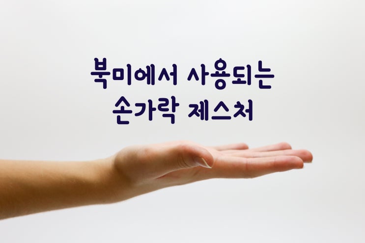  북미 (미국 또는 캐나다)에서 자주 쓰는 손 제스처 / 손가락 제스쳐