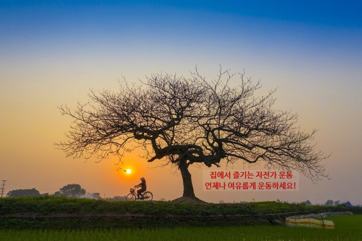  실내에서 활용도 높은 헤드 스타일 접이식 헬스자전거