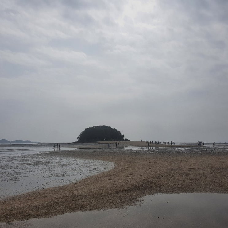  영흥도 드라이브/십리포해변/하이바다/목섬