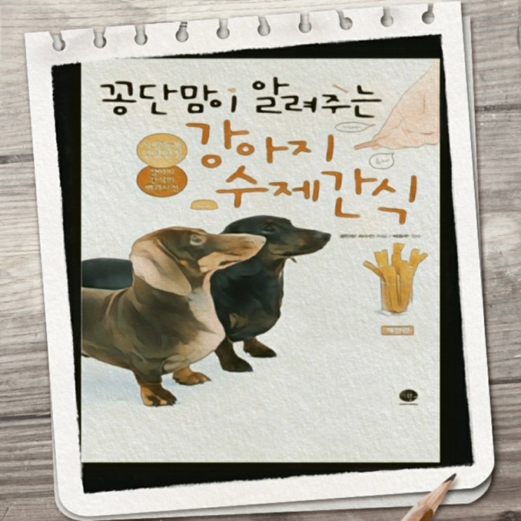  고양이 아루. 폼벽지의 효력!최고!꽁단맘이 알려주는 강아지 수제간식.집사들에게