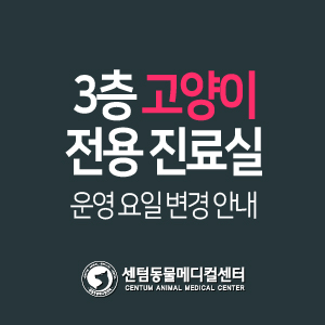  2020년 10월 중순 3층 고양이 전용 진료실 운영 요일 변경 안내 (부산 수영 센텀동물메디컬센터)