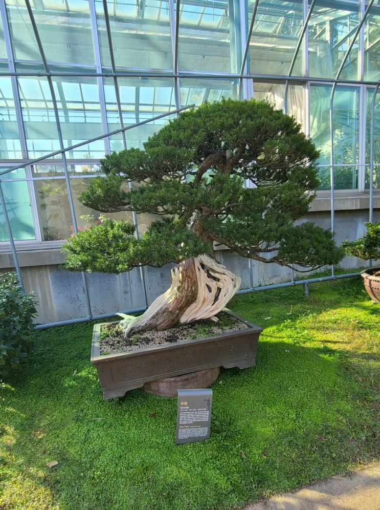  파주 식물원 카페 소울원, 파주 나들이
