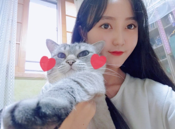  블로그소개 & 닉네임이 '이레아'인 이유