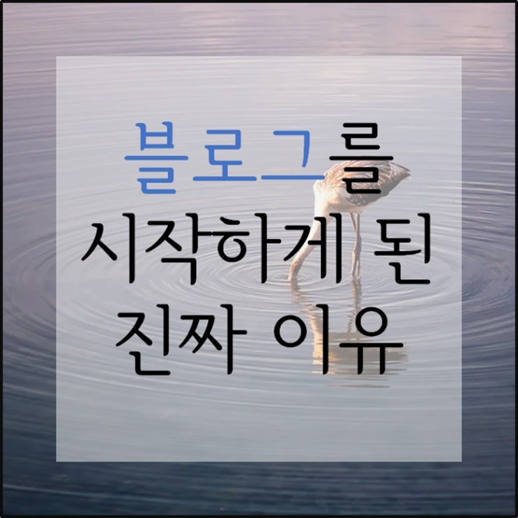  찐라이프, 진짜 생활을 알리다.