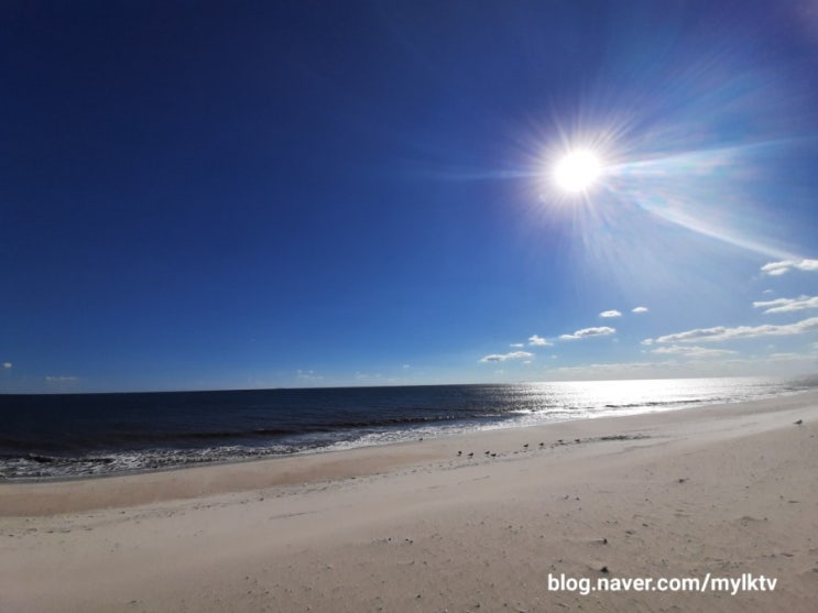  가을바다: 홈스쿨링 소풍 Field Trip: 존스비치 주립공원 Jones Beach State Park
