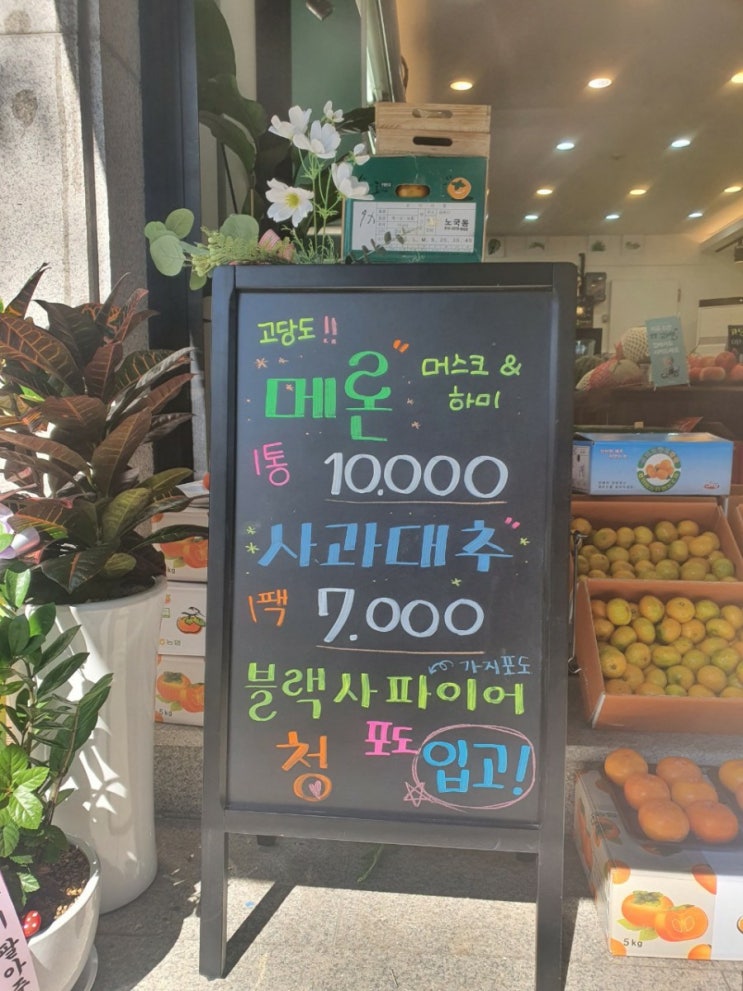  천안 두정동 초로롱청과 과일가게 과일카페 2020.10.09 금요일 과일