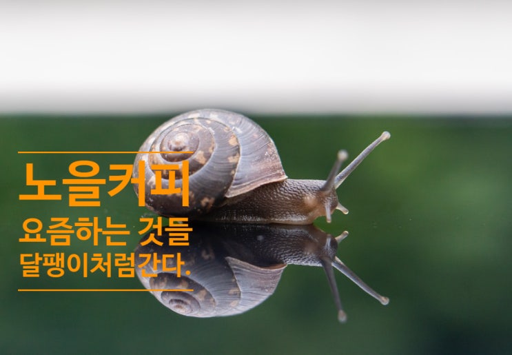  요즘 내가 하는 것들 (2020.10) / 달팽이처럼 간다.