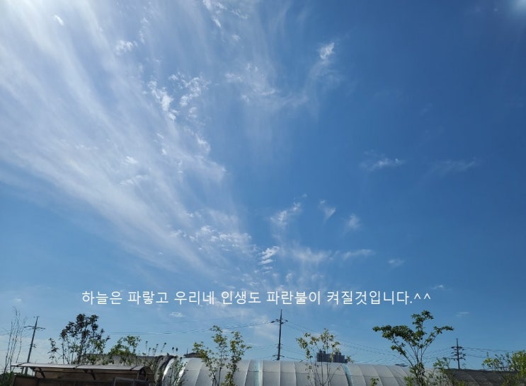 '담보' 100만 관객 돌파…성동일→박소이 감사 인사 인증샷[공식]