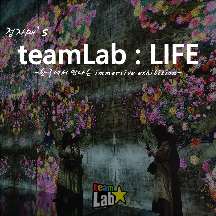  [DDP] 팀랩 라이프 teamLab : Life