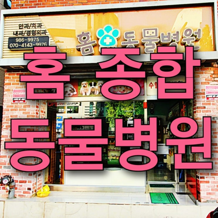 김포 풍무동 동물병원 추천, 홈종합동물병원! 김포 풍무동 동물병원 추천, 홈종합동물병원!