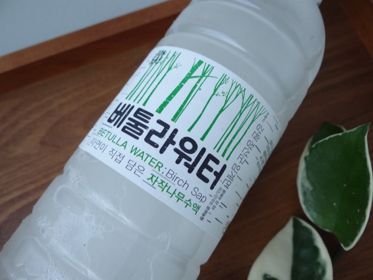  자작나무수액 효능 문래농업 베툴라워터 몸에좋은물 마시자
