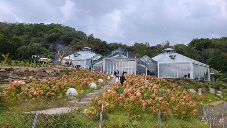  별내 비루개 | 이색적인 뜻을 갖고 있는 별내 야외 카페