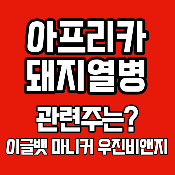  아프리카 돼지열병 재발!? 관련주 특징주를 알아보자! 마니커 우진비앤지 이글뱃