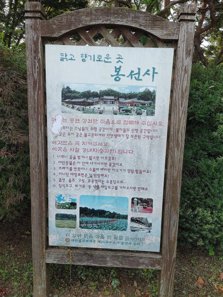 아버지와 봉선사 가다