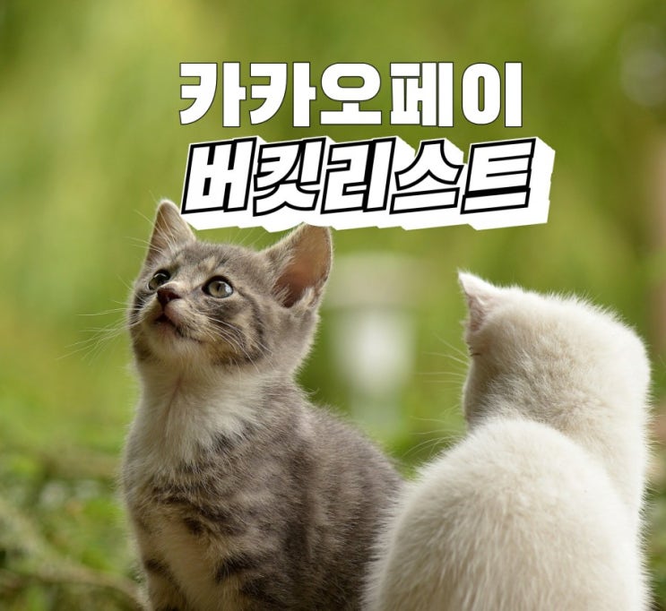  #카카오페이#버킷리스트