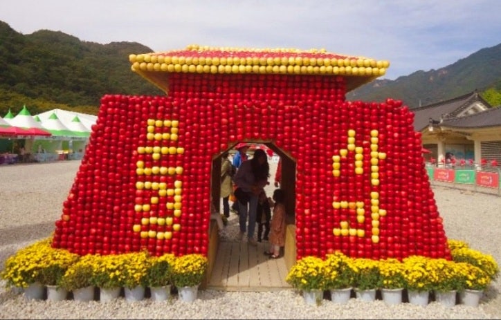 문경사과축제 2020 온라인 축제 즐기기! 온라인스토어•사과따기체험농장•대형마트 특별할....