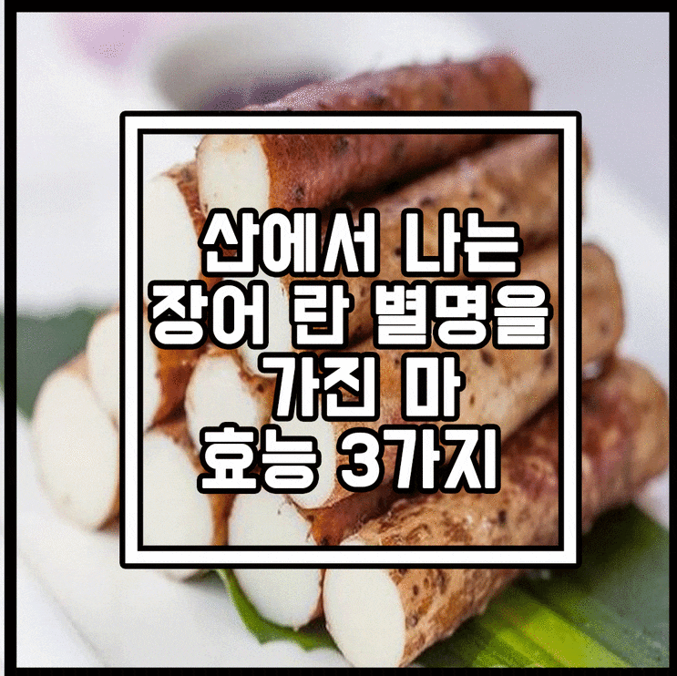  산에서 나는 장어라는 별명을 가진 마효능 3가지와 먹는법