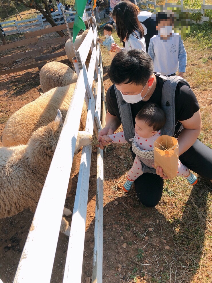  아이와가볼만한 인천근교 취사가능공원 파주팜랜드 텐트칠수있는공원 서울근교그늘막텐트 야외바베큐