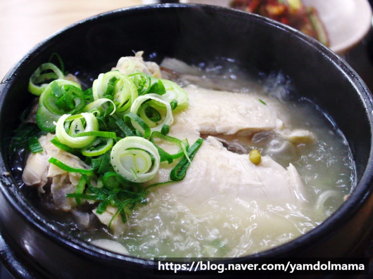  동탄 삼계탕 맛집 궁원삼계탕 뜨끈한 삼계탕과 바지락 칼국수가 굿